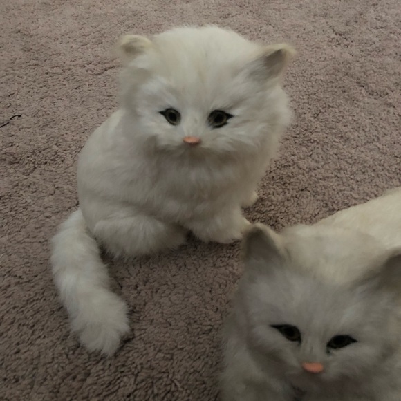 Faux Fur Kittens - Picture 3 of 5